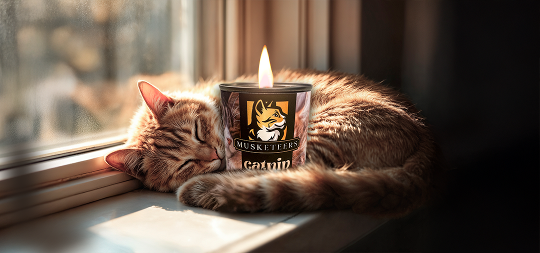 Catnip Candles: How They Affect Your Feline Friend